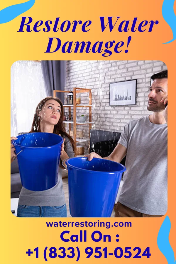 water restoration Power Extraction Inc Lakeland
