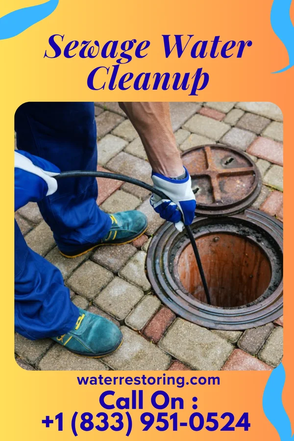 Sewage Water Cleanup in Lakeland, TN